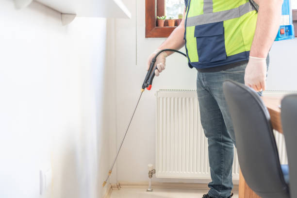 Best Ant Control Services  in Middlebush, NJ