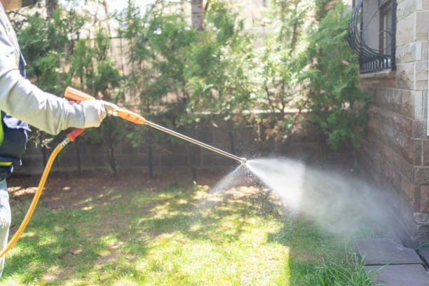 Best Emergency Pest Control  in Middlebush, NJ