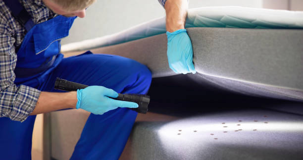 Pest Prevention Services in Middlebush, NJ