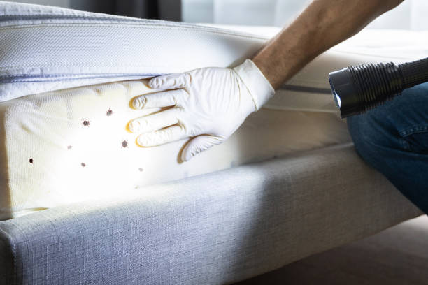 Best Wildlife Control Services  in Middlebush, NJ