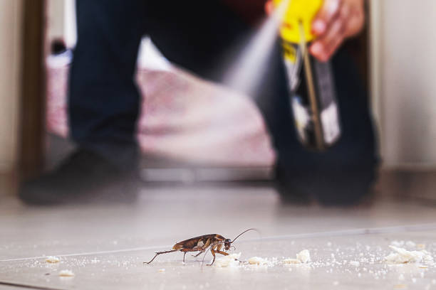 Best Pest Prevention Services  in Middlebush, NJ