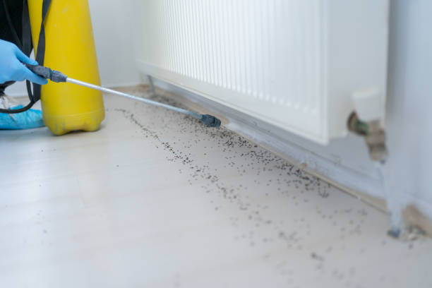 Best Cockroach Control Services  in Middlebush, NJ