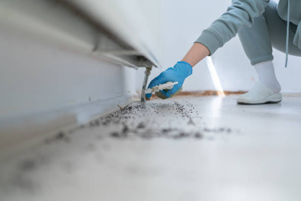 Best Mosquito Control Services  in Middlebush, NJ