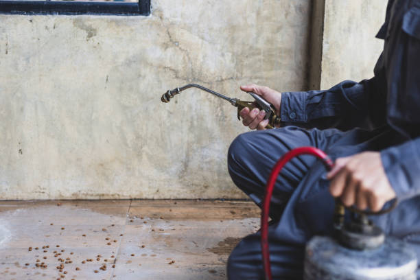 Best Pest Prevention Services  in Middlebush, NJ